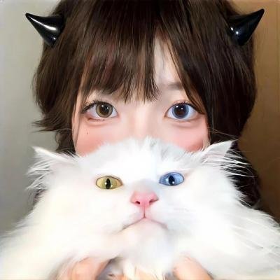 金甲风暴